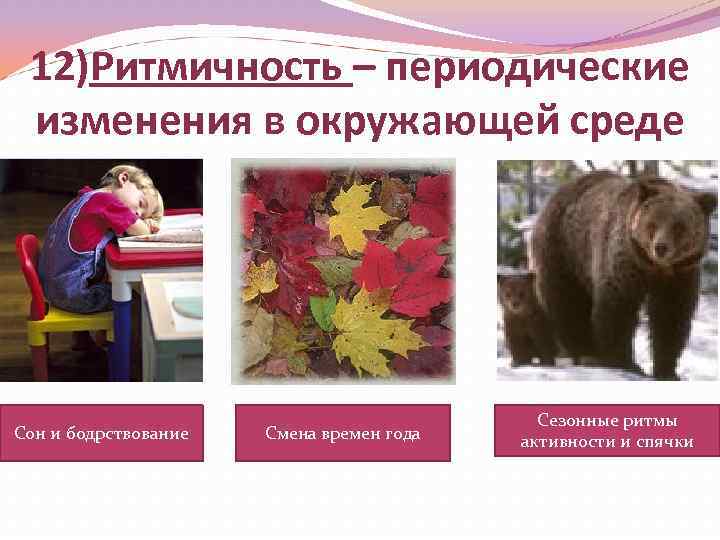 Сезонные изменения в природе картинки