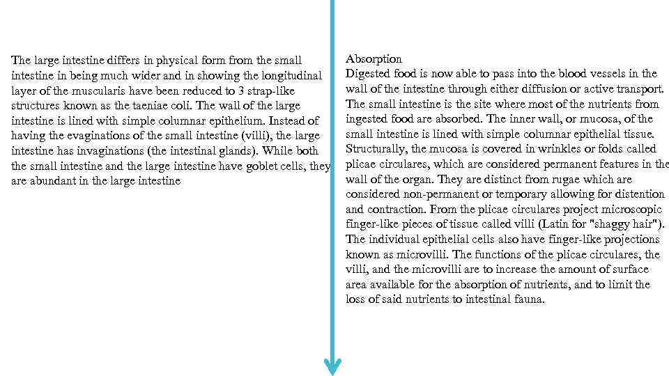 The large intestine differs in physical form from the small intestine in being much