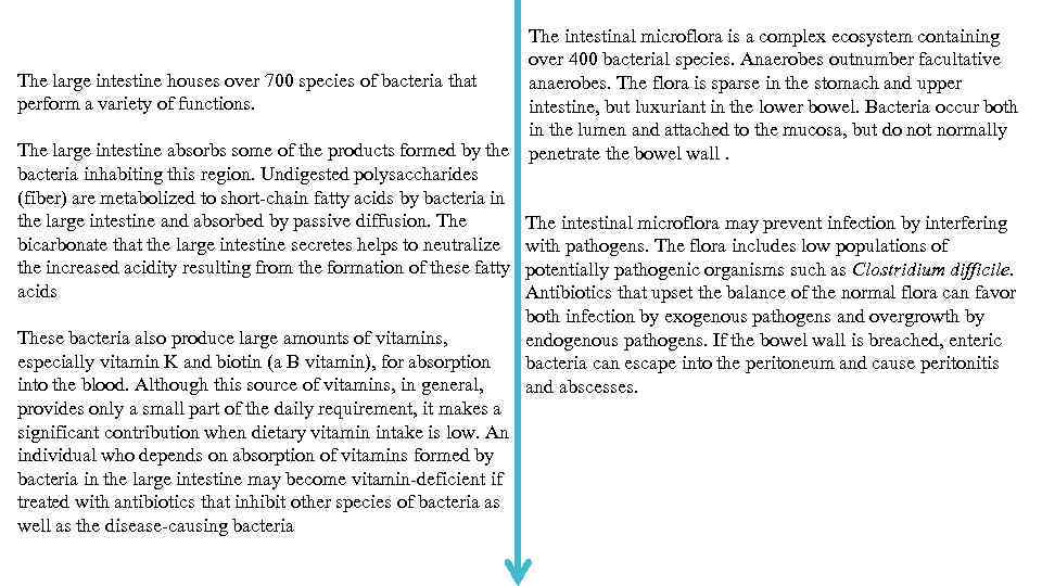 The intestinal microflora is a complex ecosystem containing over 400 bacterial species. Anaerobes outnumber