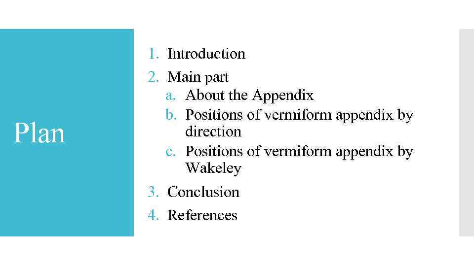 Plan 1. Introduction 2. Main part a. About the Appendix b. Positions of vermiform