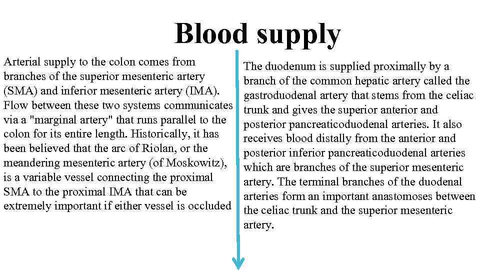 Blood supply Arterial supply to the colon comes from branches of the superior mesenteric