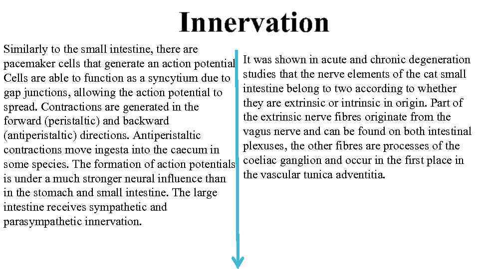 Innervation Similarly to the small intestine, there are pacemaker cells that generate an action