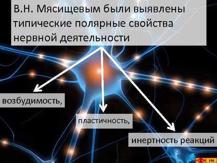 В. Н. Мясищевым были выявлены типические полярные свойства нервной деятельности возбудимость, пластичность, инертность реакций