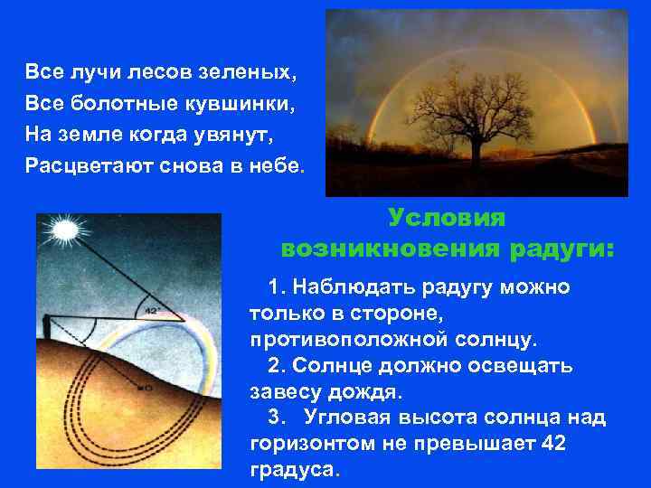 Все лучи лесов зеленых, Все болотные кувшинки, На земле когда увянут, Расцветают снова в
