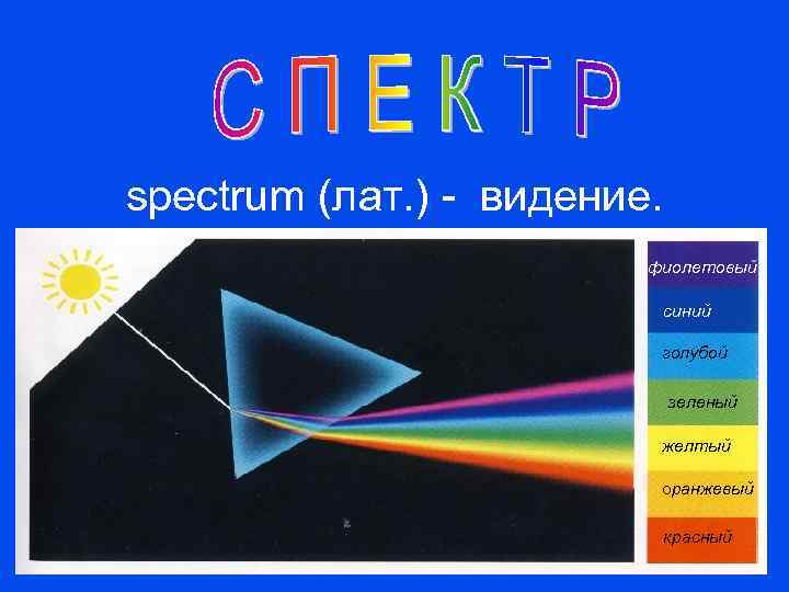 spectrum (лат. ) - видение. фиолетовый синий голубой зеленый желтый оранжевый красный 