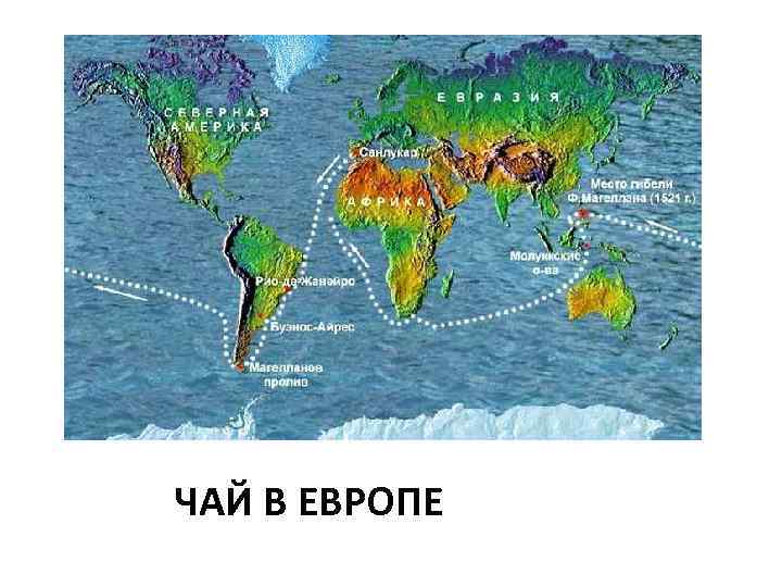 ЧАЙ В ЕВРОПЕ 