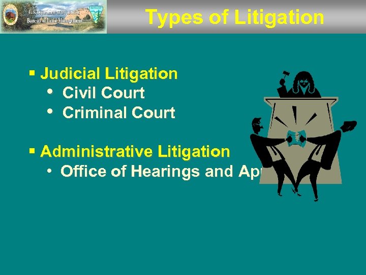 Types of Litigation § Judicial Litigation • Civil Court • Criminal Court § Administrative