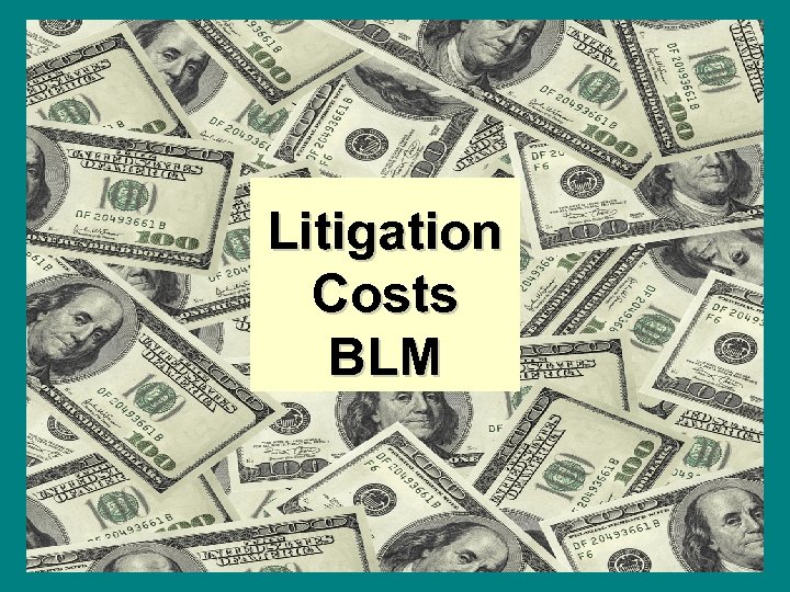 Litigation Costs BLM 