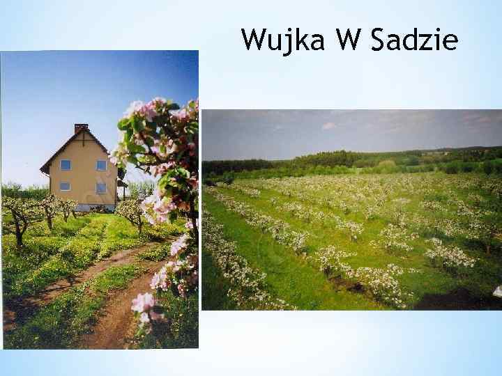Wujka W Sadzie 
