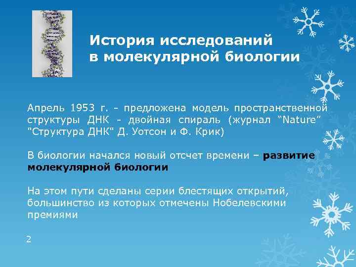 История исследований в молекулярной биологии Апрель 1953 г. - предложена модель пространственной структуры ДНК