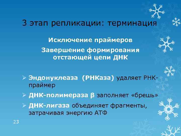 3 этап репликации: терминация Исключение праймеров Завершение формирования отстающей цепи ДНК Ø Эндонуклеаза (РНКаза)