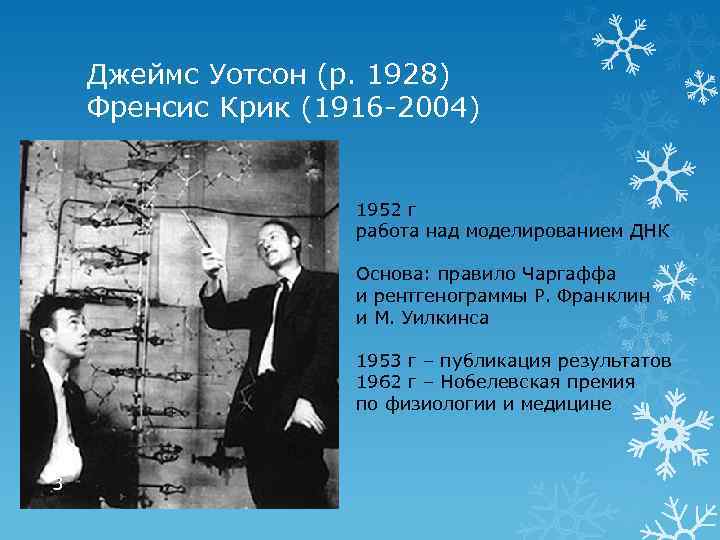 Джеймс Уотсон (р. 1928) Френсис Крик (1916 -2004) 1952 г работа над моделированием ДНК