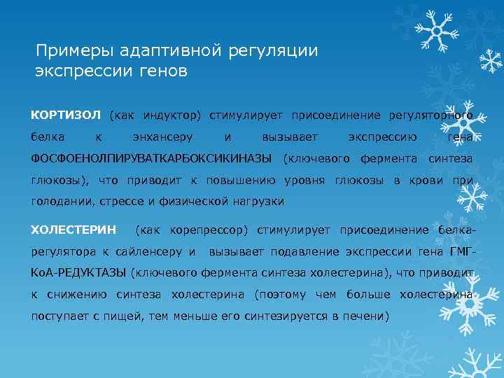 Примеры адаптивной регуляции экспрессии генов КОРТИЗОЛ (как индуктор) стимулирует присоединение регуляторного белка к энхансеру