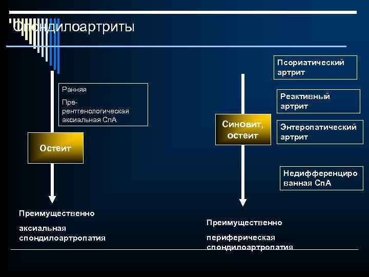 Спондилоартриты Псориатический артрит Ранняя Прерентгенологическая аксиальная Сп. А Реактивный артрит Синовит, остеит Энтеропатический артрит