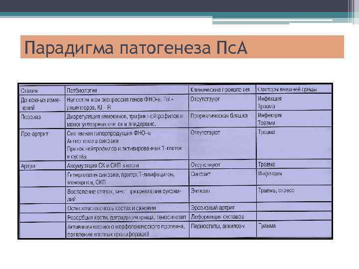 Парадигма патогенеза Пс. А 