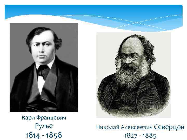 Карл Францевич Рулье 1814 - 1858 Николай Алексеевич Северцов 1827 - 1885 