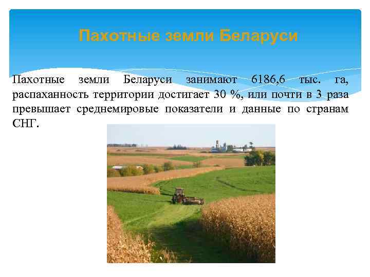 Пахотные земли Беларуси занимают 6186, 6 тыс. га, распаханность территории достигает 30 %, или