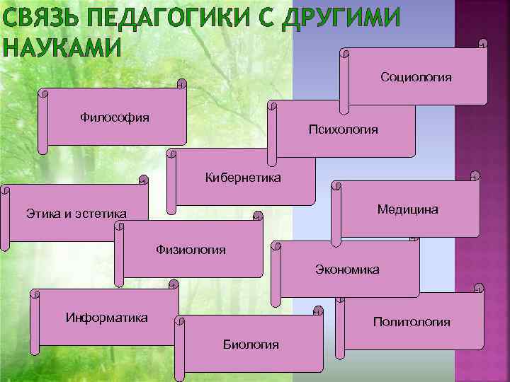 Составьте схему связь педагогики с другими науками