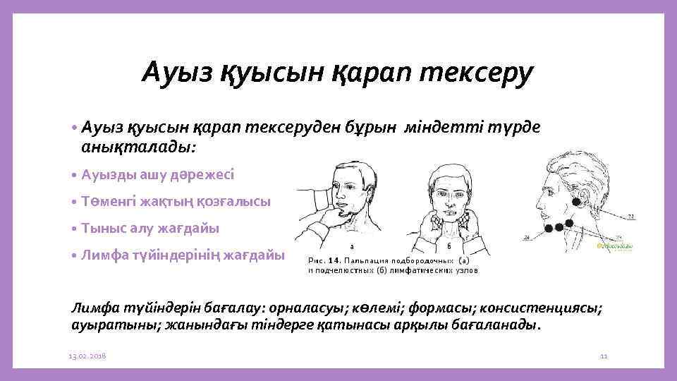 Ауыз қуысын қарап тексеру • Ауыз қуысын қарап тексеруден бұрын анықталады: • Ауызды ашу