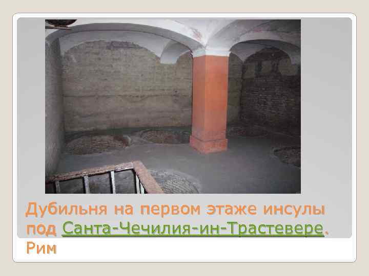 Дубильня на первом этаже инсулы под Санта-Чечилия-ин-Трастевере. Рим 