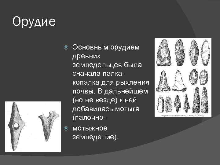 Орудие Основным орудием древних земледельцев была сначала палкакопалка для рыхления почвы. В дальнейшем (но