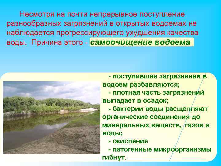 Несмотря на почти непрерывное поступление разнообразных загрязнений в открытых водоемах не наблюдается прогрессирующего ухудшения