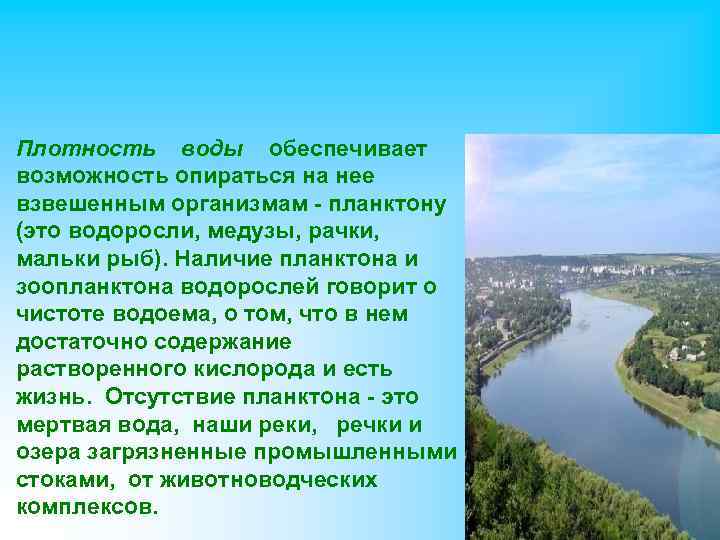 Плотность воды обеспечивает возможность опираться на нее взвешенным организмам - планктону (это водоросли, медузы,