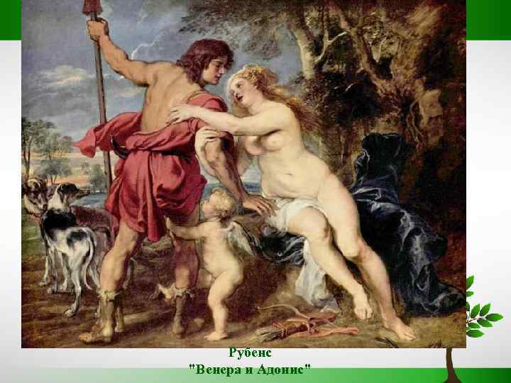 Рубенс 