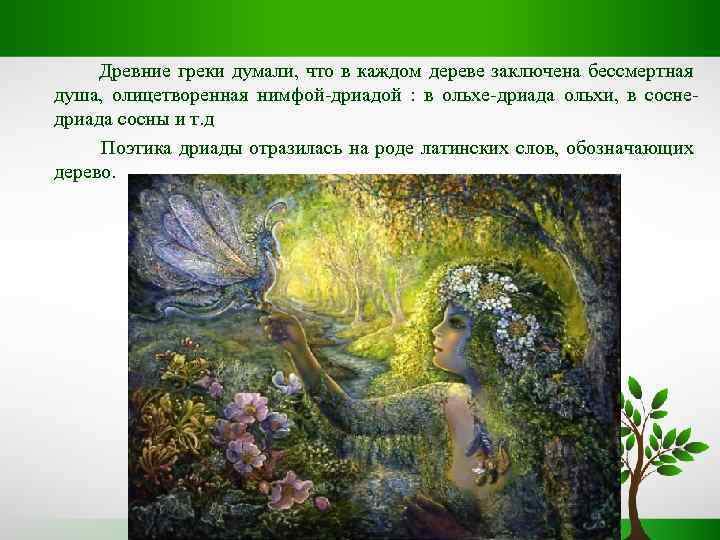  Древние греки думали, что в каждом дереве заключена бессмертная душа, олицетворенная нимфой-дриадой :