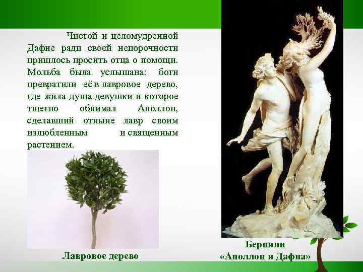 Чистой и целомудренной Дафне ради своей непорочности пришлось просить отца о помощи. Мольба была