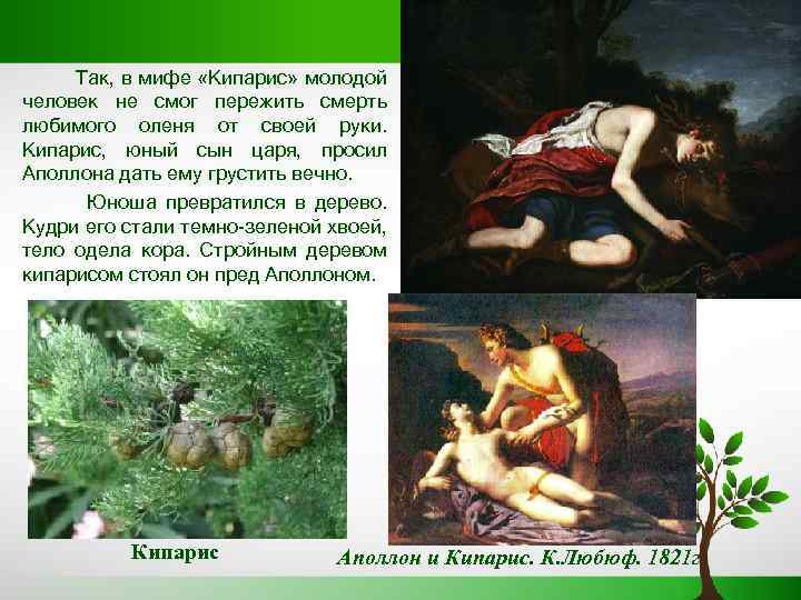 Так, в мифе «Кипарис» молодой человек не смог пережить смерть любимого оленя от своей