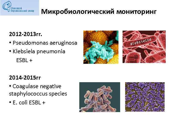 Микробиологический мониторинг 2012 -2013 гг. • Pseudomonas aeruginosa • Klebsiela pneumonia ESBL + 2014