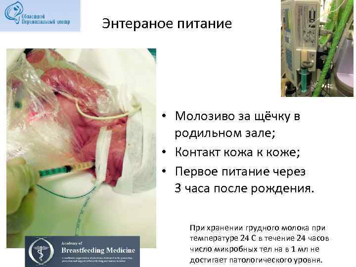 Энтераное питание • Молозиво за щёчку в родильном зале; • Контакт кожа к коже;