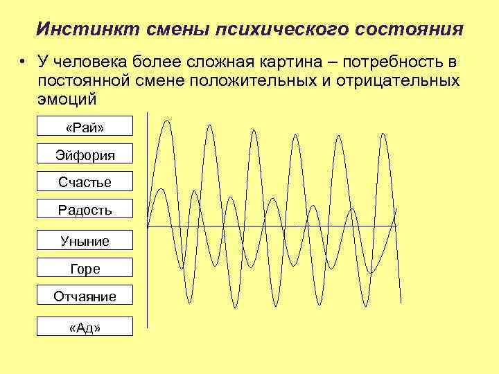Инстинкт смены психического состояния • У человека более сложная картина – потребность в постоянной