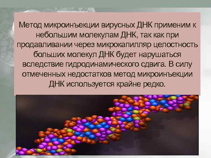 Метод микроинъекции вирусных ДНК применим к небольшим молекулам ДНК, так как при продавливании через