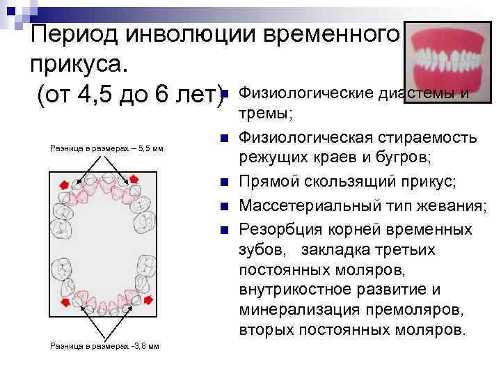 Сочетание процессов эволюции и инволюции