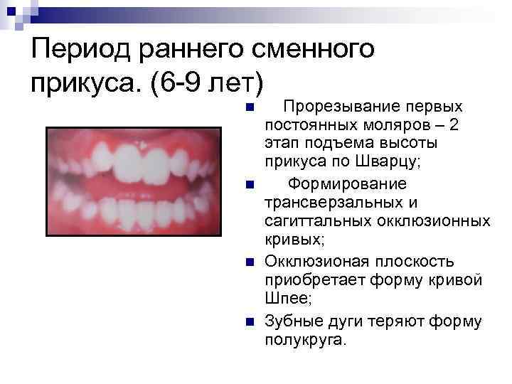 Период раннего сменного прикуса. (6 -9 лет) n n Прорезывание первых постоянных моляров –