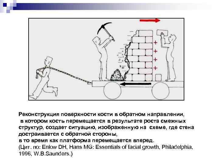 Реконструкция поверхности кости в обратном направлении, в котором кость перемещается в результате роста смежных