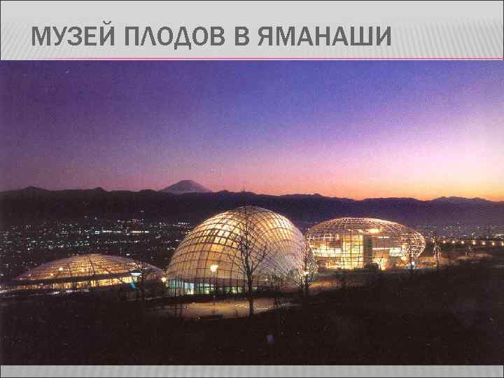 МУЗЕЙ ПЛОДОВ В ЯМАНАШИ 