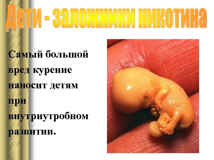 Самый большой вред курение наносит детям при внутриутробном развитии. 