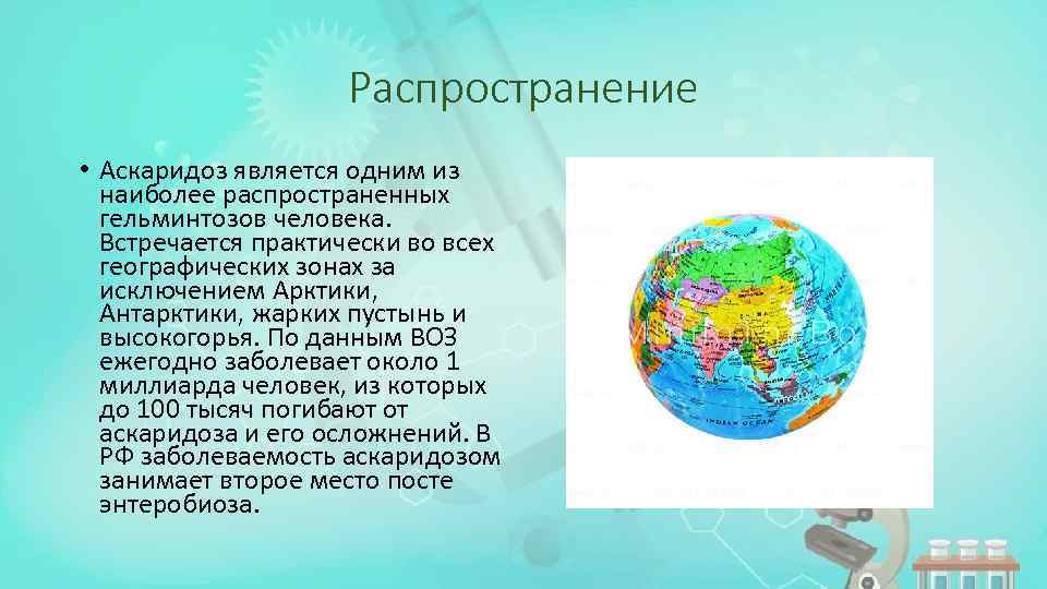 Распространение • Аскаридоз является одним из наиболее распространенных гельминтозов человека. Встречается практически во всех