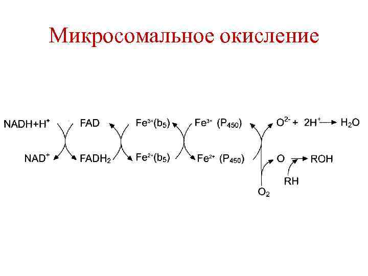 Микросомальное окисление 