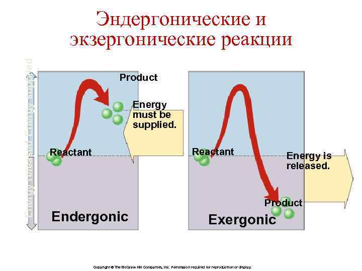 Energy released Energy supplied Эндергонические и экзергонические реакции Product Energy must be supplied. Reactant