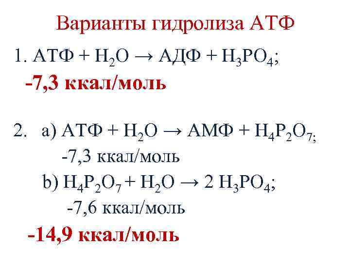 Гидролиз атф. Гидролиз АТФ реакция. Уравнение гидролиза АТФ. Гидролиз АТФ И АДФ. Гидролиз АТФ уравнение реакции.