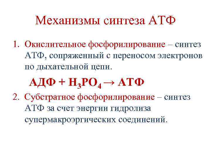 Механизмы синтеза АТФ 1. Окислительное фосфорилирование – синтез АТФ, сопряженный с переносом электронов по