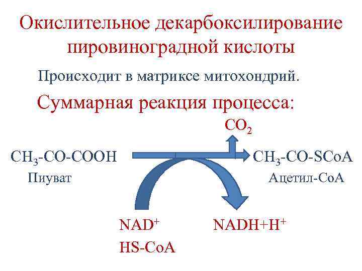 Окислительное декарбоксилирование пировиноградной кислоты Происходит в матриксе митохондрий. Суммарная реакция процесса: CO 2 CH