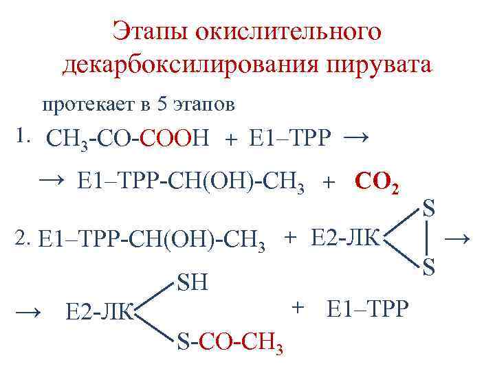 Этапы окислительного декарбоксилирования пирувата протекает в 5 этапов 1. CH 3 -CO-COOH + Е
