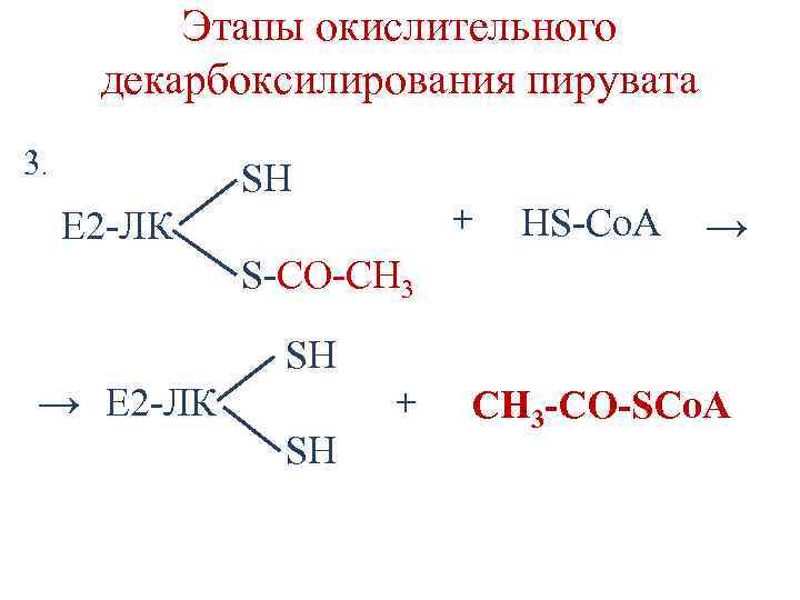 Этапы окислительного декарбоксилирования пирувата 3. SН + Е 2 -ЛК HS-Co. A → S-СО-СН