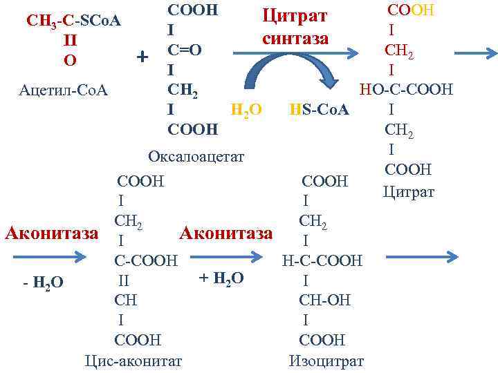 COOH Цитрат CH 3 -C-SCo. A I I синтаза II C=О CH 2 +