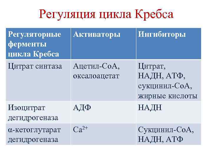 Регуляция цикла Кребса Регуляторные ферменты цикла Кребса Цитрат синтаза Активаторы Ингибиторы Ацетил-Со. А, оксалоацетат